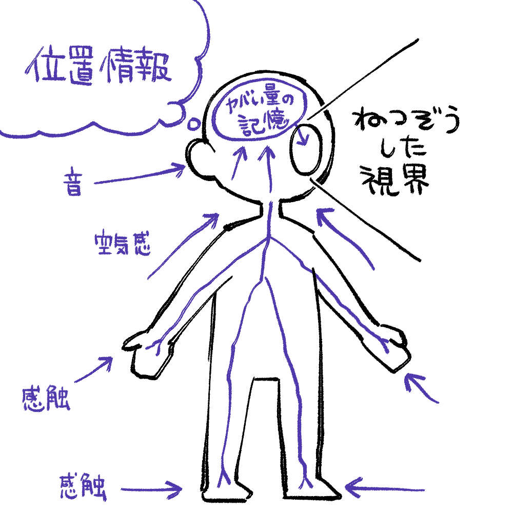 画像：沙華の視野生成イメージ図。手足の感触や空気感・音・位置情報などから予想される視界を捏造している。
